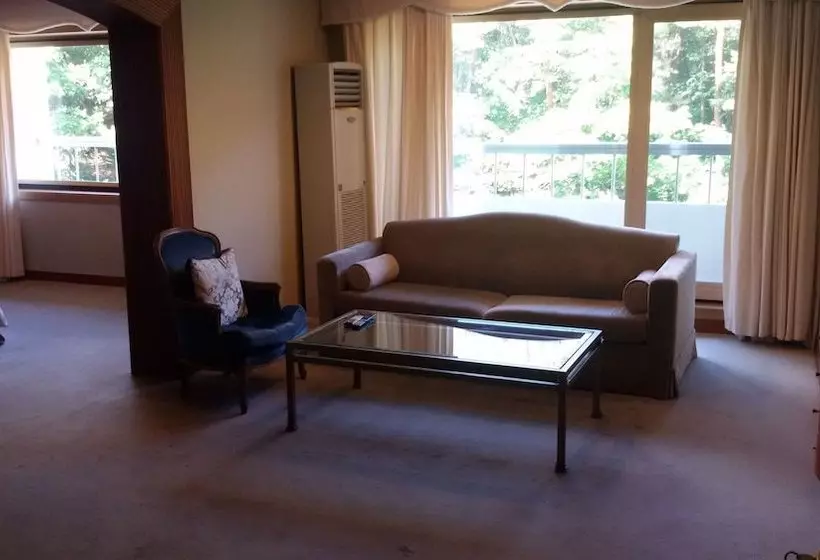 Hotel Lake Hills Songnisan