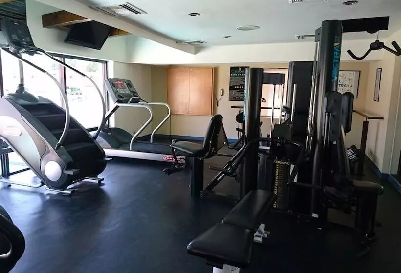 בית מלון כפרי Calafia