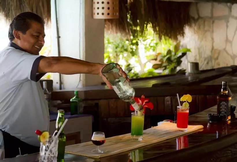 Casa Del Mar Cozumel Hotel & Dive Resort