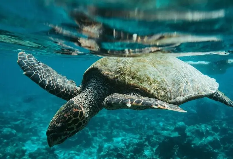 هتل Makunudu Island
