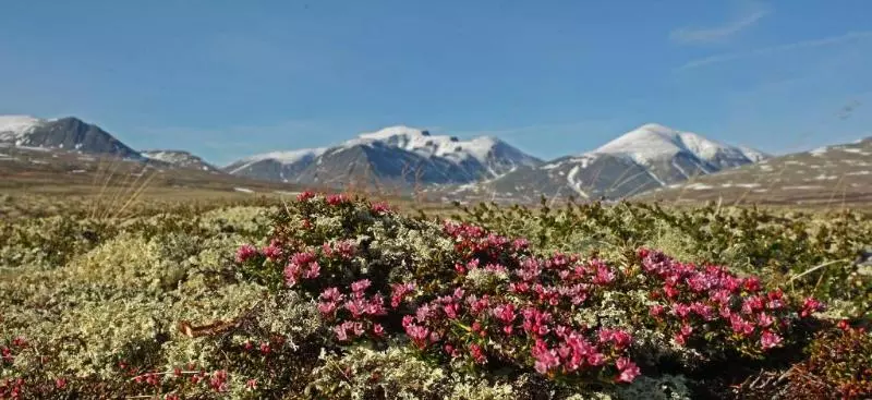 Thon Partner Hotel Otta