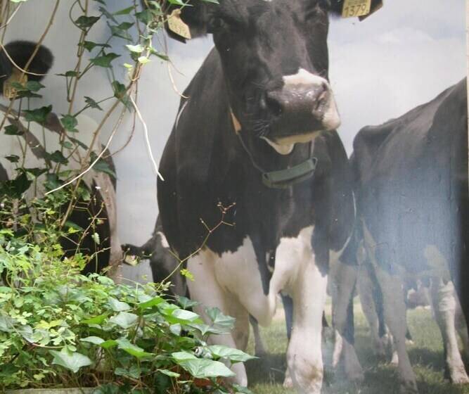 Bicycle Hotel Amsterdam