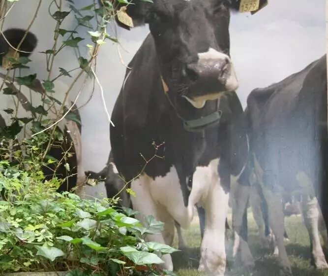 Bicycle Hotel Amsterdam