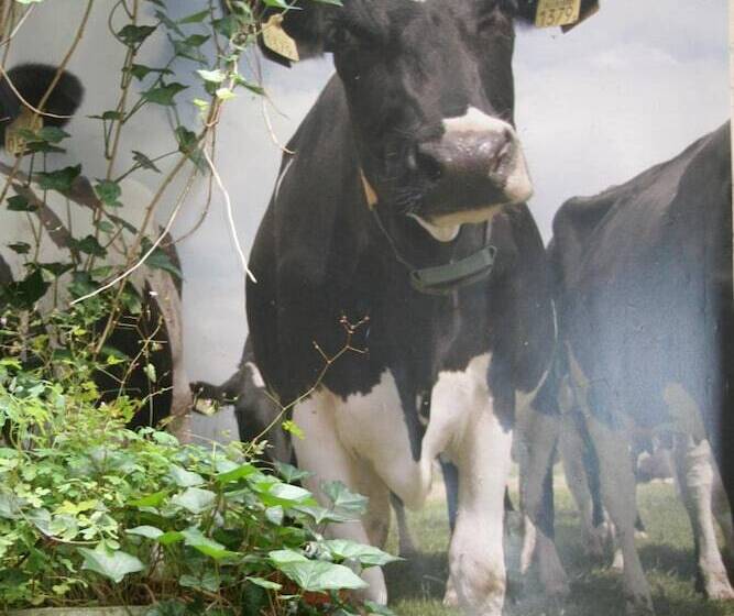 Bicycle Hotel Amsterdam