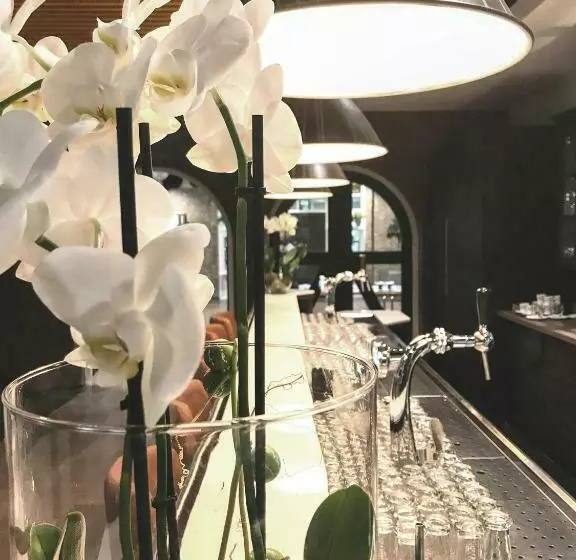 Отель De Druiventros