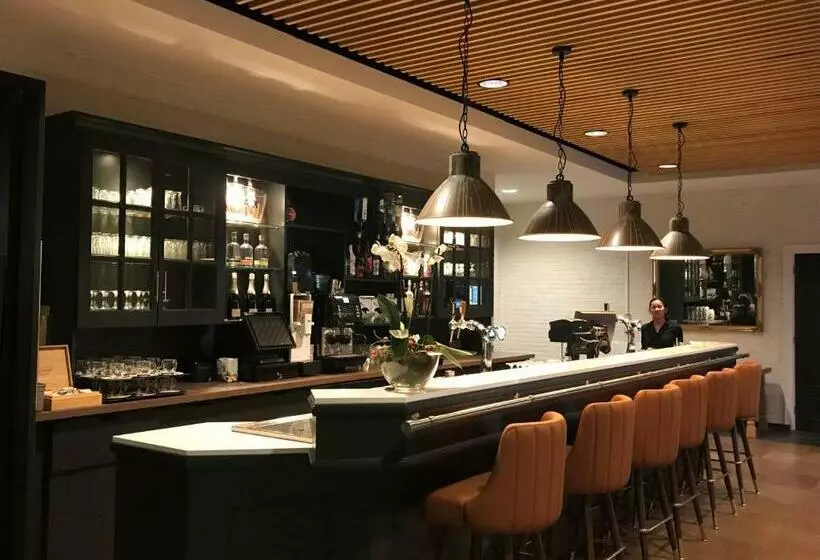 Отель De Druiventros