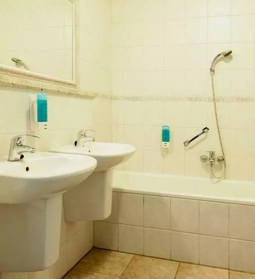 Отель De Druiventros