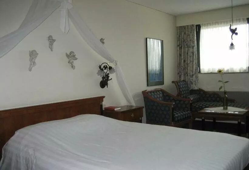 Отель De Druiventros