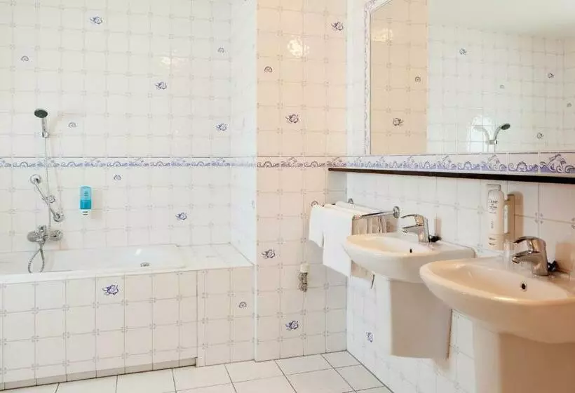 Отель De Druiventros