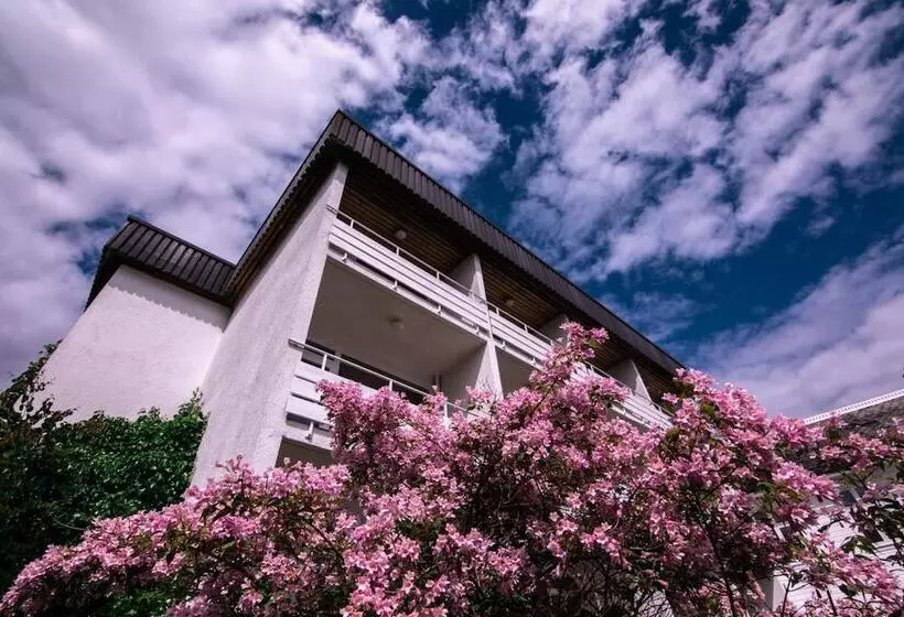 בית מלון כפרי Kringsjå