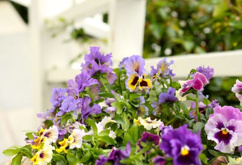 Singsaker Sommerhotell   Hostel