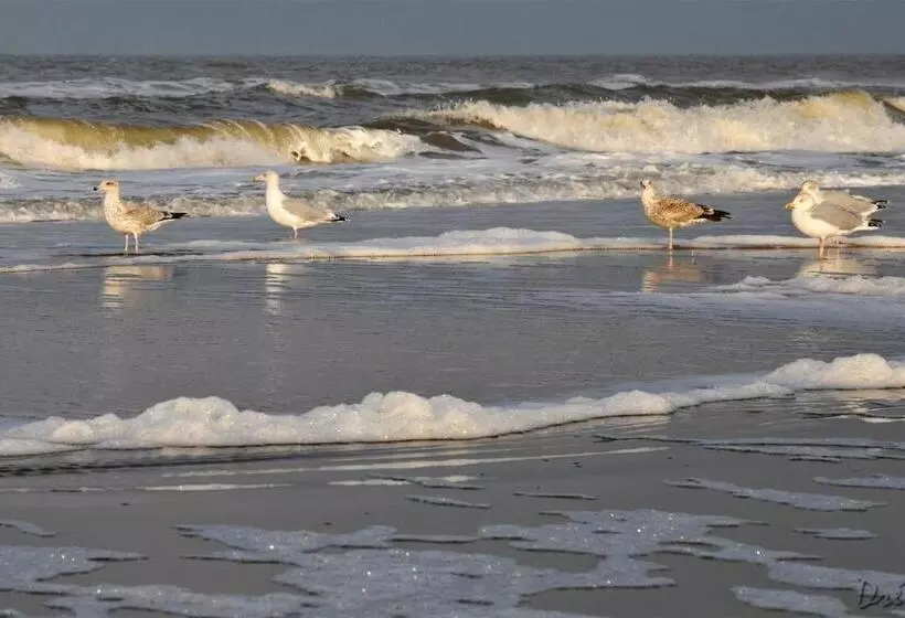 Strandhotel De Vassy