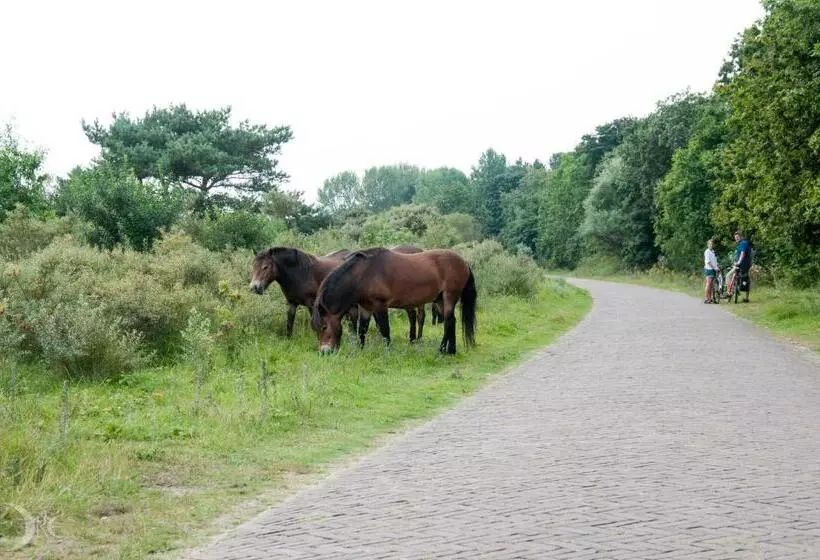 Strandhotel De Vassy