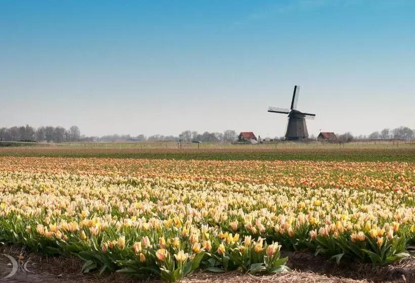 Strandhotel De Vassy