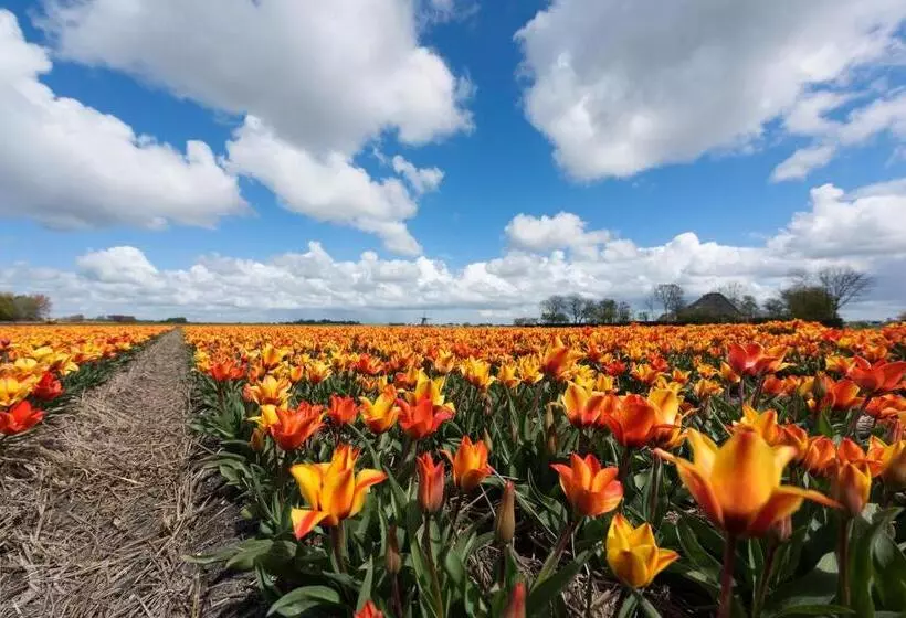 Strandhotel De Vassy