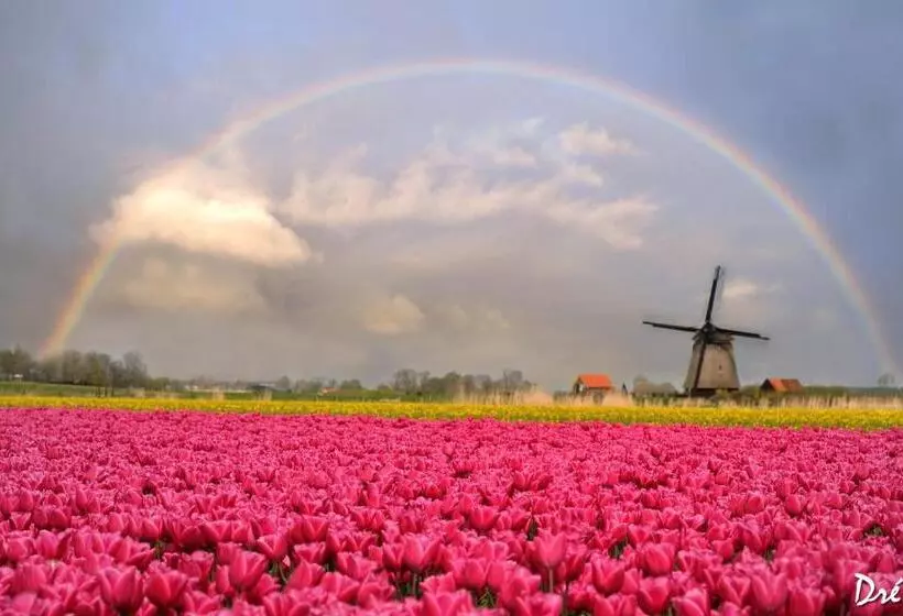 Strandhotel De Vassy