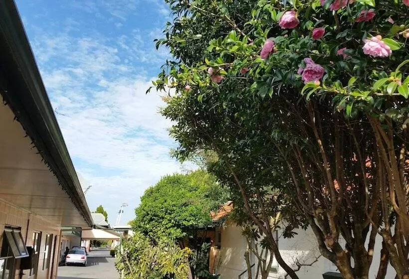 Cedar Lodge Motel Hamilton