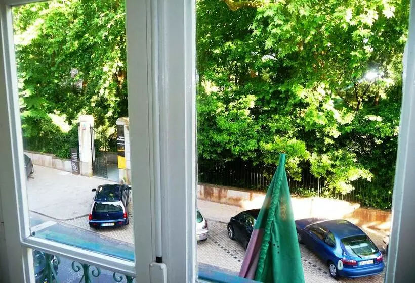 D. Carlos Residencial