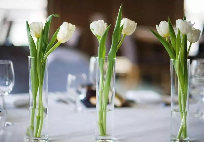 هتل Mercure Lublin Centrum