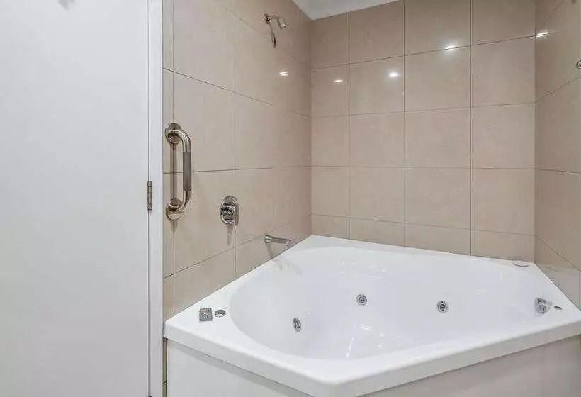 酒店 Quality Inn Napier