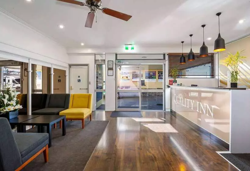 酒店 Quality Inn Napier