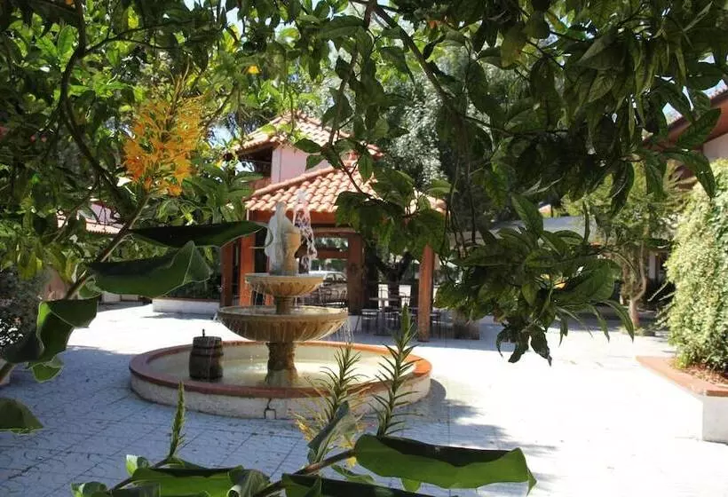 إقامة Joao Capela