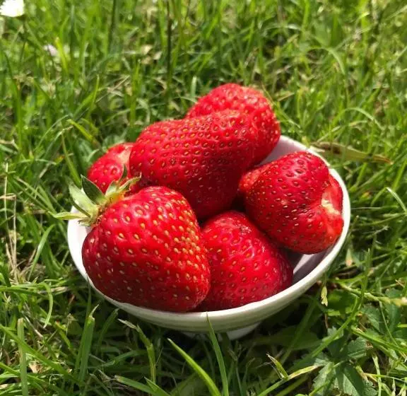 فندق L Magasin 1