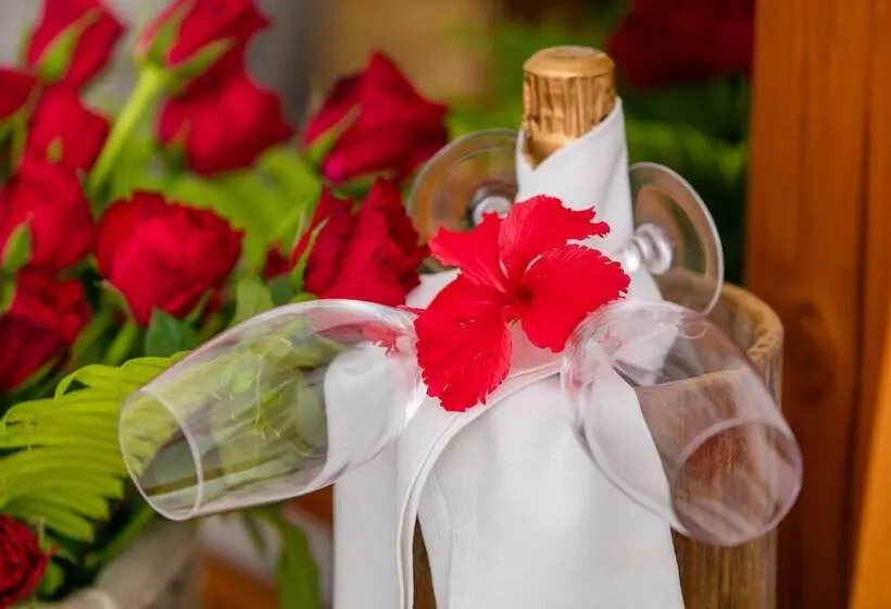 هتل La Digue Island Lodge