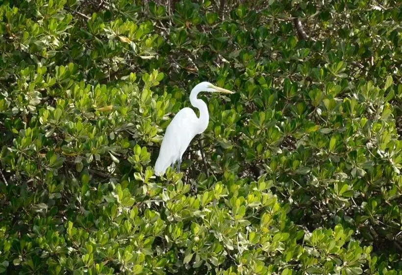 هتل Le Pelican Du Saloum