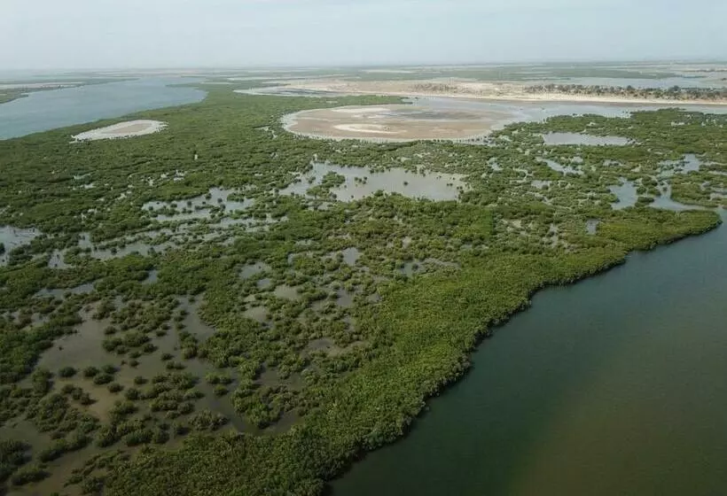 هتل Le Pelican Du Saloum