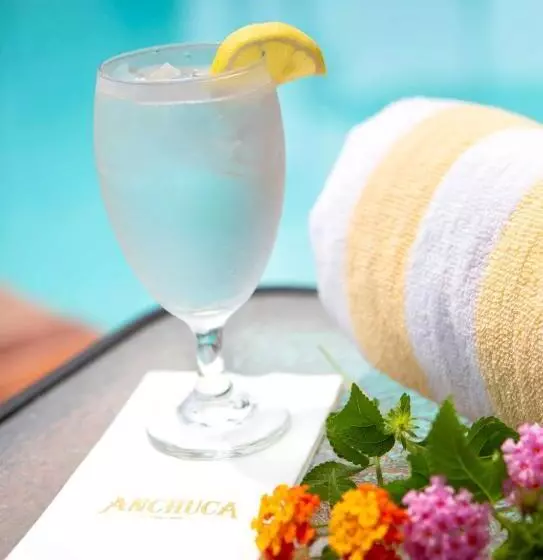 ホテル Anchuca Historic Mansion & Inn