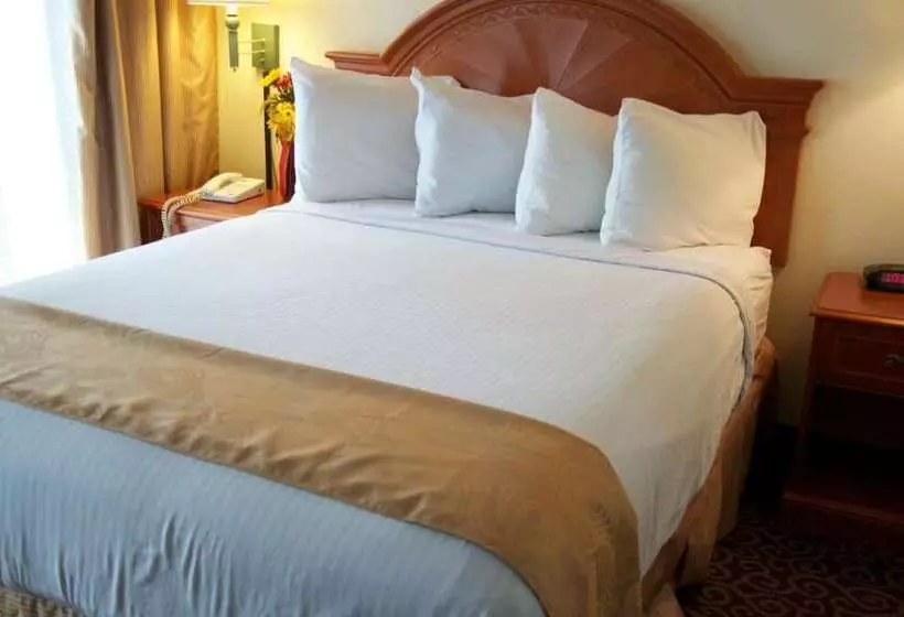 Отель Barcelona Suites