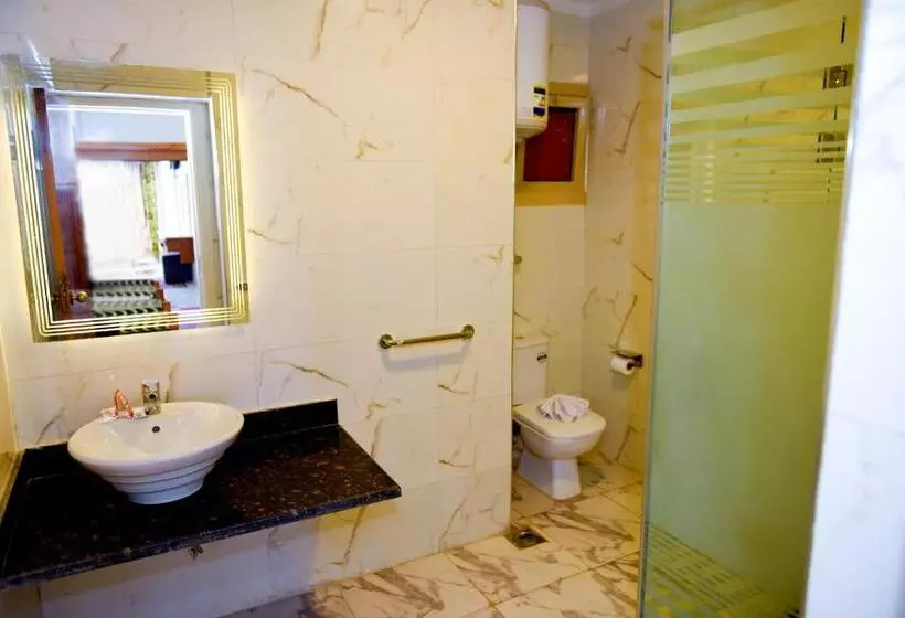 Regency Hotel Alexandria