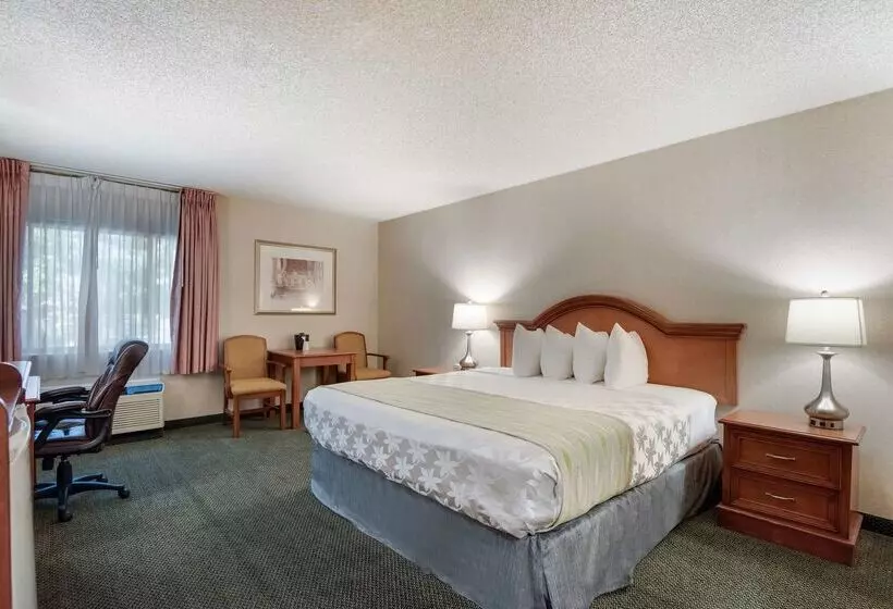 Surestay Plus Hotel By Best Western Reno Airport