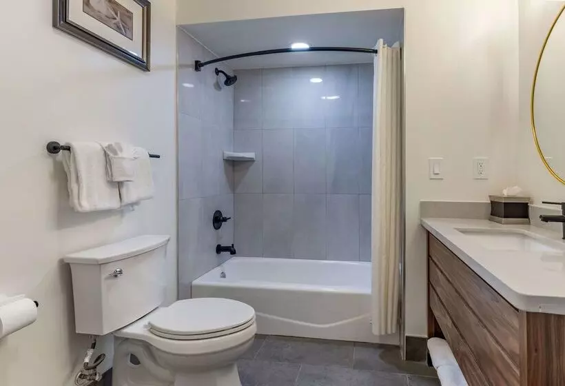 酒店 Best Western Carmels Town House Lodge