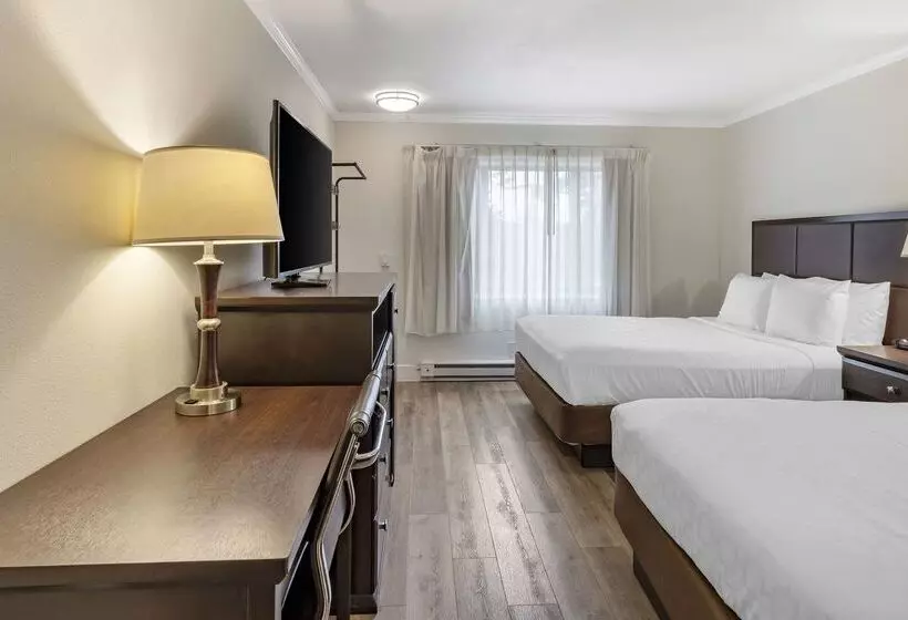 酒店 Best Western Carmels Town House Lodge