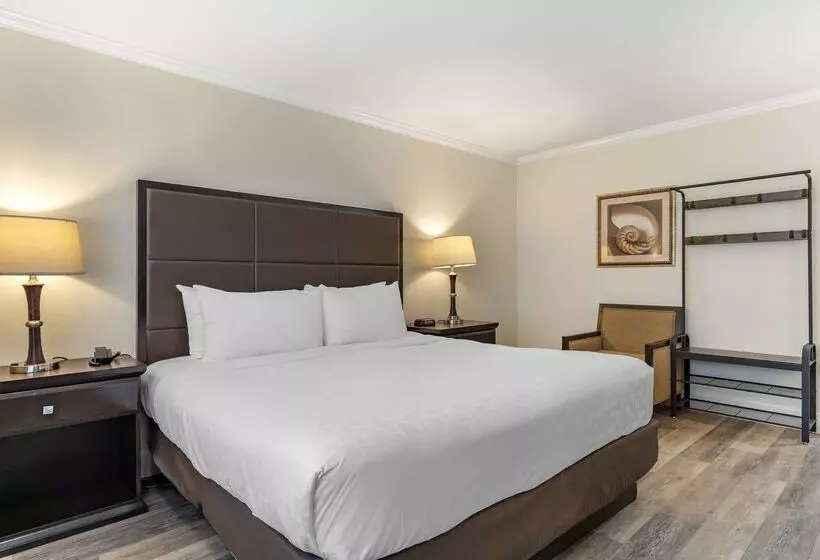 酒店 Best Western Carmels Town House Lodge