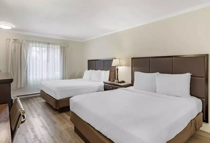 酒店 Best Western Carmels Town House Lodge