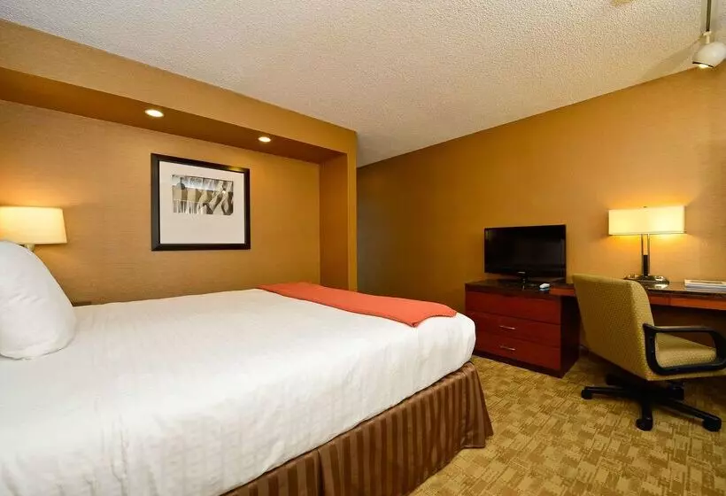 Hotel Best Western Inn At Palm Springs