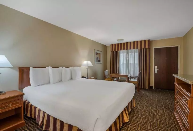 酒店 Best Western Norwalk Inn