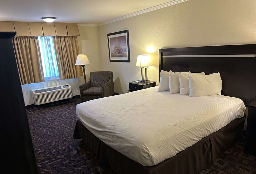 هتل Best Western Plus Inn Of Hayward