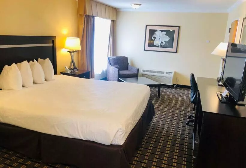 호텔 Best Western Plus Inn Of Hayward
