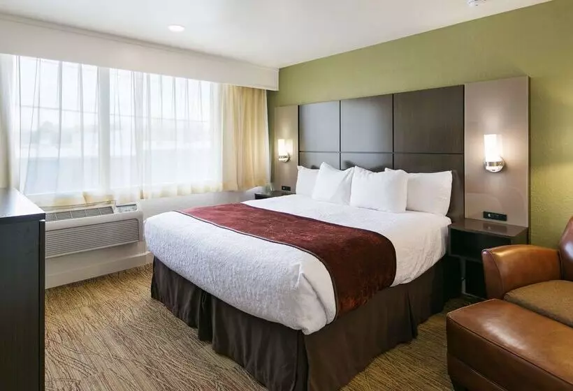 בית מלון כפרי Best Western Pony Soldier Inn & Suites