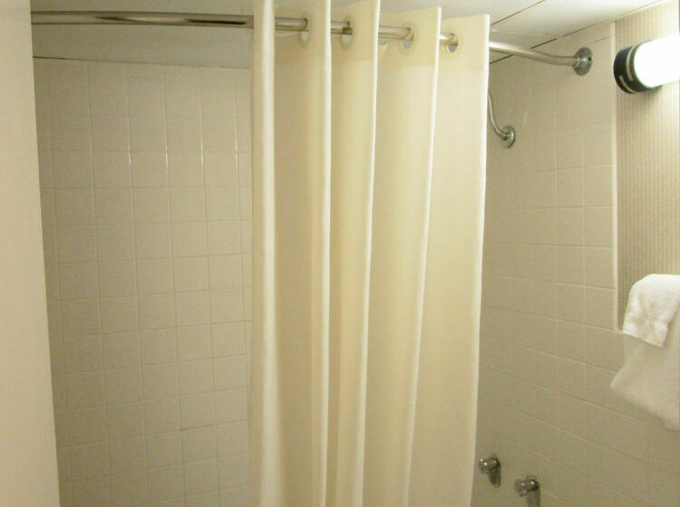 Otel Cavalier Inn At The University