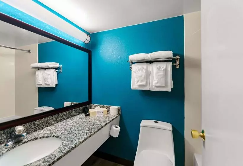 בית מלון כפרי Clarion Inn Falls Church-Arlington