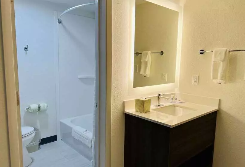 Szálloda Comfort Inn & Suites