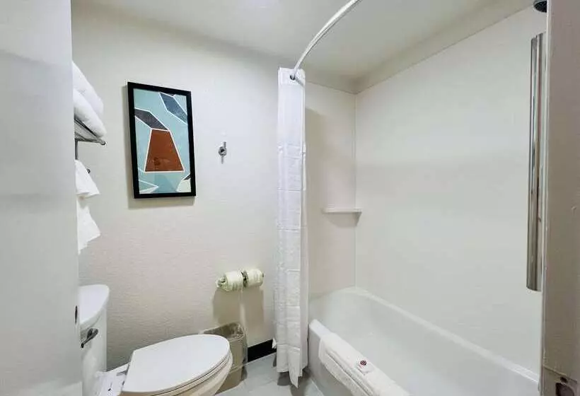 Szálloda Comfort Inn & Suites