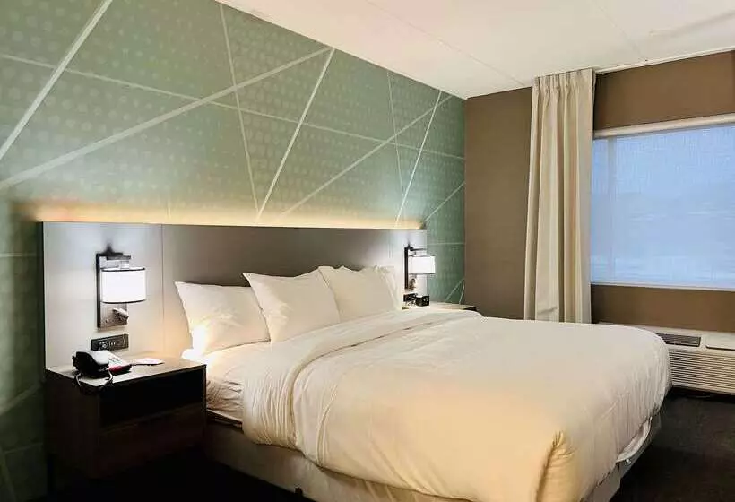 Szálloda Comfort Inn & Suites