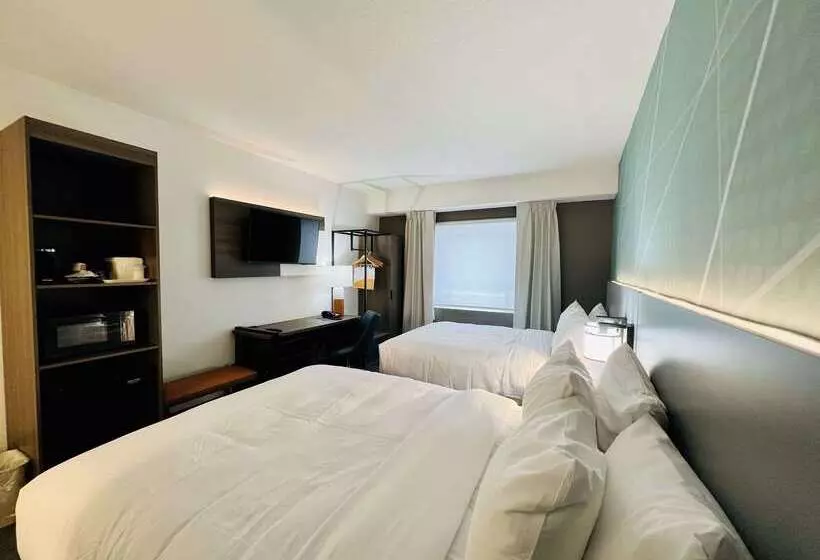 Szálloda Comfort Inn & Suites