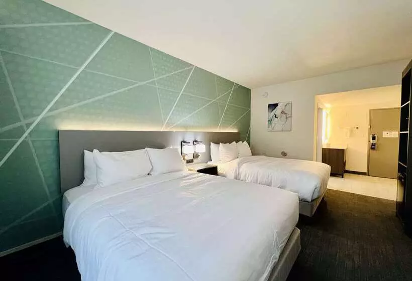 Szálloda Comfort Inn & Suites